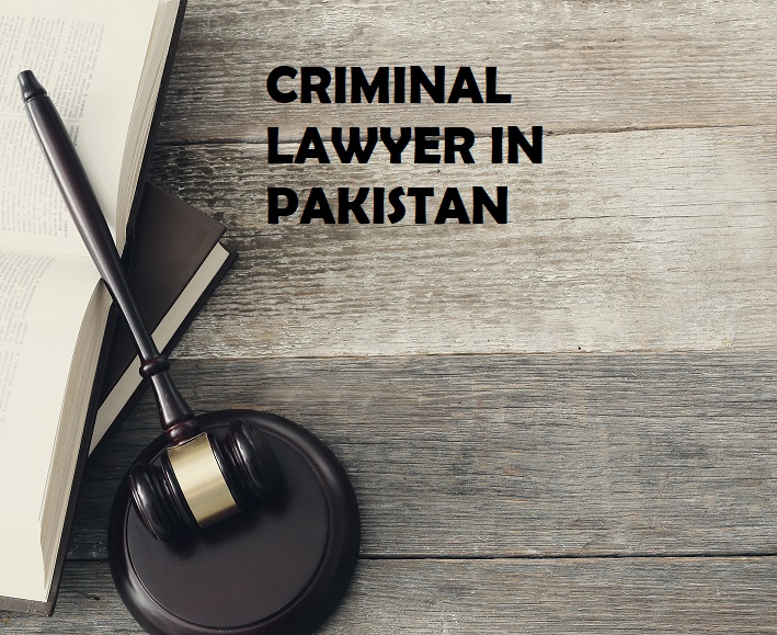 WHAT IS A CRIMINAL LAWYER AND WHAT ARE THE RESPONSIBILITIES OF A CRIMINAL LAWYER?