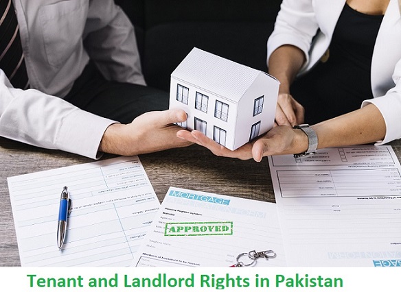 An illustration of a tenant and landlord shaking hands in front of a rental property, symbolizing their agreement and understanding of their rights.